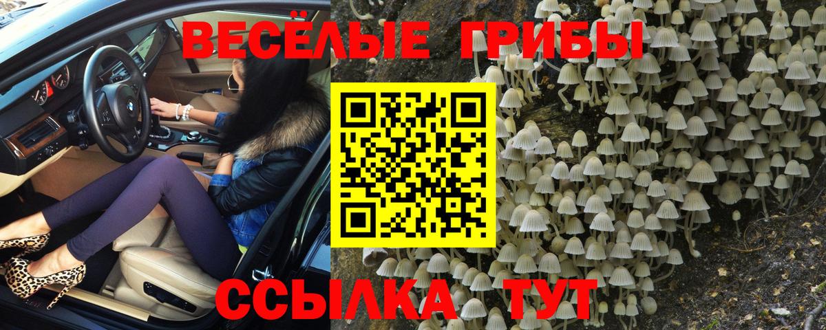 Галлюциногенные грибы GOLDEN TEACHER Людиново